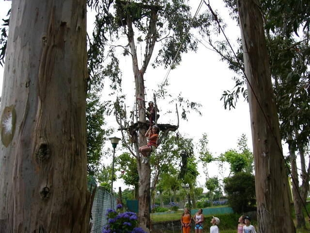 Tirolina en nuestro parque